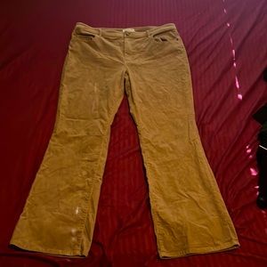 Brown coldwater creek clothing brand